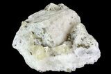 Quartz, Fluorite and Pyrite Crystal Association - Morocco #82789-1